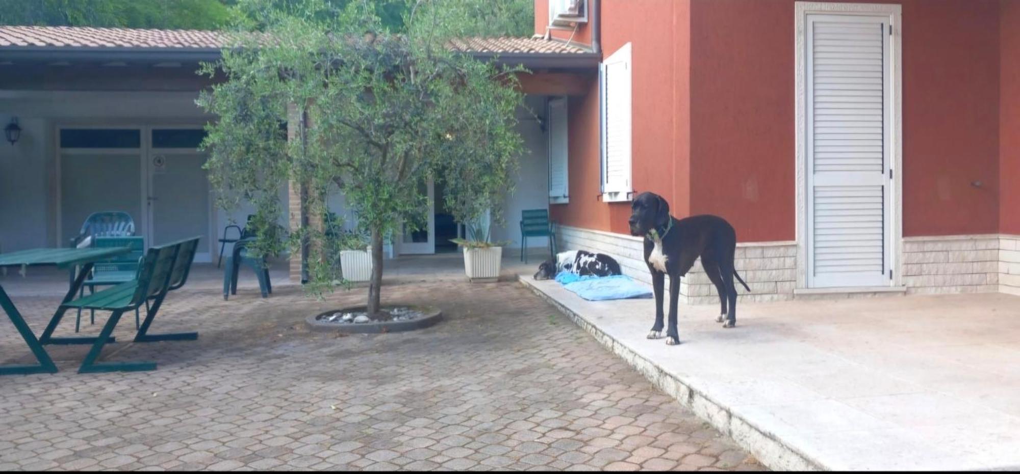 Pace, Luminosita E Comodita A Due Passi Dal Garda โวลตา มันโตวานา ภายนอก รูปภาพ